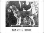 Fish Creek Farmer
