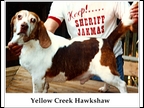 Yellow Creek Hawkshaw 1993