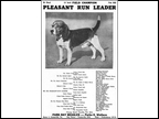 Pleasant Run Leader