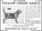 Yellow Creek Banjo