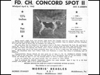 Concord Spot II 2
