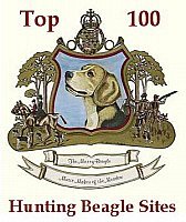 Top 100 Beagle Sites