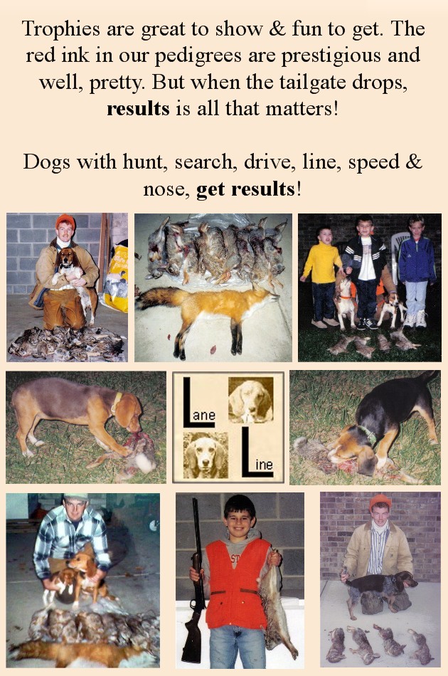 Laneline web page hunt