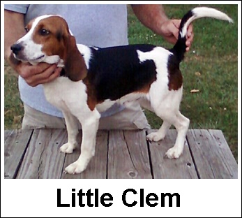 Laneline Little Clem