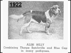 Alibi Billy 1922