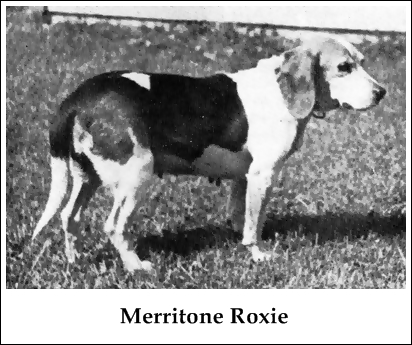 Merritone Roxie