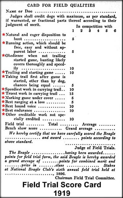 Beagle Field Trial Score Card 1919