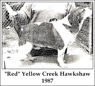 John Toy &amp; Yellow Creek Hawkshaw