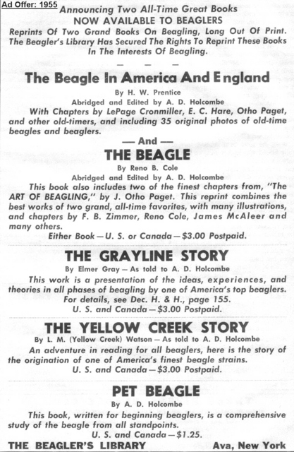 Yellow Creek Story