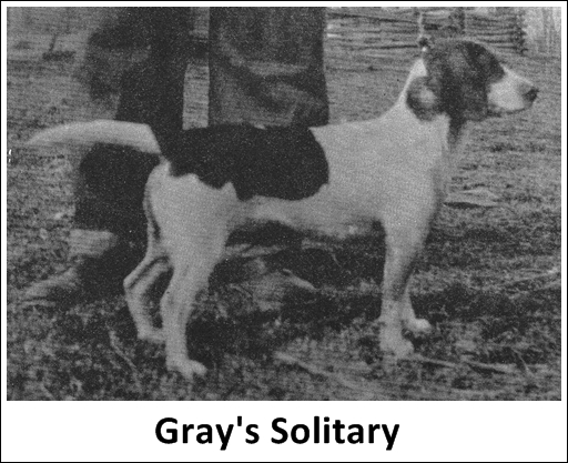 Gray's Solitary