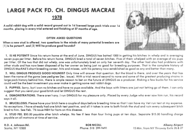 Dingus MacRae 2