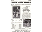 Yellow Creek Kennels