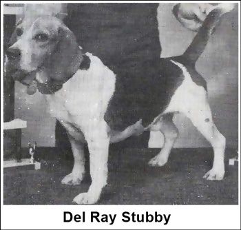 Delray Stubby