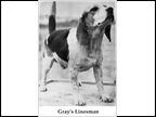 Gray's Linesman