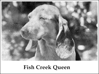 Fish Creek Queen