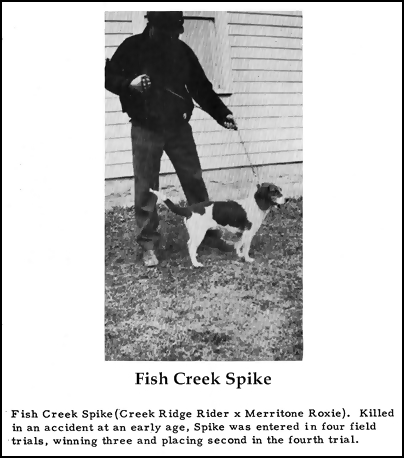 Fish Creek Spike