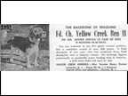 Yellow Creek Ben II