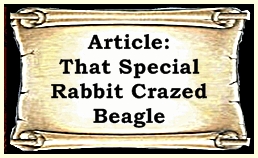scroll rabbit crazed beagle